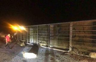 Tatvan’da tır devrildi: 63 koyun telef oldu