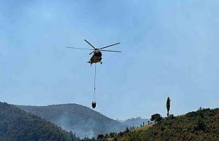 Uşak’taki orman yangını kontrol altına alındı