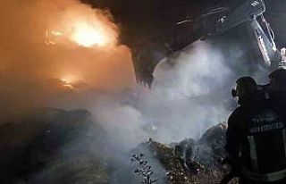 Van’da 2 bin 500 bağ ot yandı