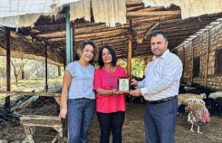 10 koyunla başladı 2 bin koyun yetiştirdi