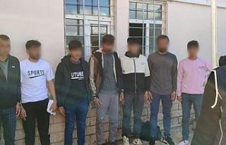 7 düzensiz göçmen sahte pasaportlarla yakalandı