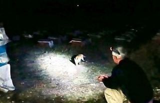 Ağrı’da arıcılık yapan emekli polis, her akşam...