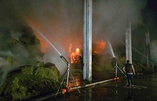 Amasya’da çiftlikte korkutan yangın: Yağmurlama...