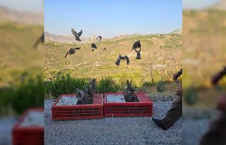 Antalya’da orman yangınına karşı doğa dostu...