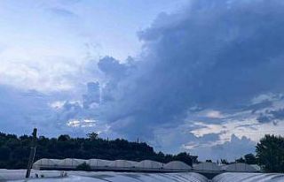 Antalya’da serada çalışırken elektrik akımına...