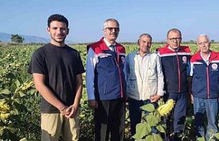 Aydın’da ayçiçeği hasadı öncesi üreticilere...