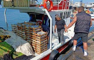 Batı Karadeniz’de avlanan 50 tekneden 10’u balıkla...