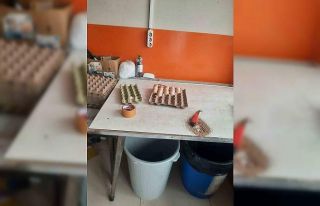 Bilecik’te zabıta, vatandaşı ‘köy yumurtası’...