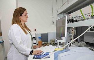 BTÜ’lü akademisyenler kozalak şuruplarının...