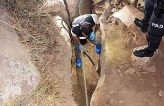 Defineciler kaçtı; kriminal inceleme başladı