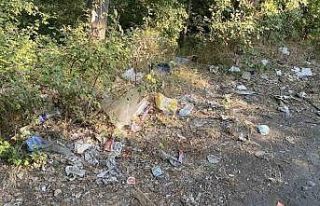 Duyarsız piknikçilerin toplamadığı atıklar doğada...