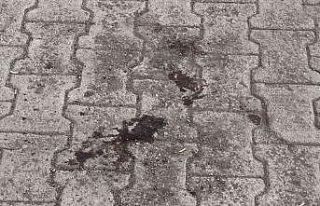 Fransız turiste Tatvan’da bıçaklı saldırı