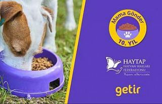 Getir, 10 yıldır patili dostların yanında
