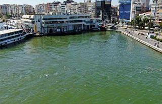 İzmir Körfezi’nde bilindik manzara: Yine binlerce...