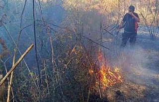 Mardin’de ormanlık alanda çıkan yangın devam...