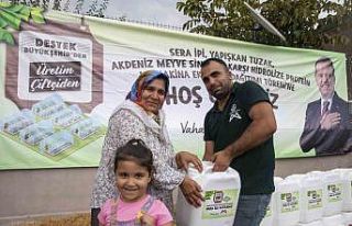 Mersin’de üreticilere ’Akdeniz meyve sineği’...