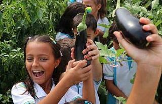 Okuldaki Çiftlik Projesi’nin ilk hasadını öğrenciler...