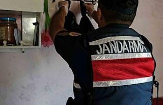 Operasyonla yakalanan uyuşturucu taciri tutuklandı