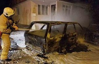 Park halindeki araç küle döndü