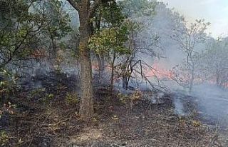 Pehlivanköy’de orman yangını söndürüldü