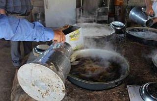 Siirt’te iskambo pekmezinin yapımına başlandı