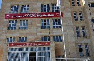 Şırnak’ta boş arı kovan desteği başvuruları...