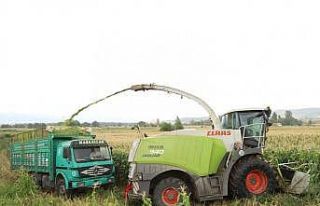 Sözleşmeli üretimle çiftçilerin yüzü güldü