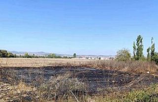 Tavşanlı’da arazide çıkan yangın kısa sürede...