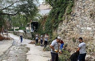 Temiz çevre için güç birliği