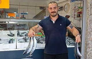 Tonlarca palamut Anadolu’ya sevk edildi