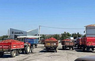 Tüccar alımı durdurdu tonlarca biber elde kaldı