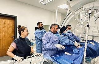 Türkiye-Arnavutluk Fier Dostluk Hastanesi, Arnavutluk...