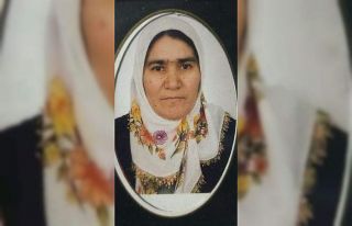 Yolun karşısına geçmek isteyen kadına hafif ticari...