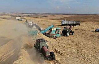 12 saat çalışıp günlük 3 bin liraya saman presliyorlar