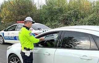 161 araç trafikten men edildi