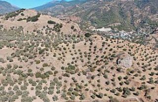 3 bin yıllık tarihi kentteki tiyatro ve stadyum...