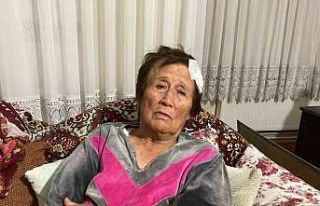 66 yaşındaki kadını sopa ve bisiklet ile acımasızca...