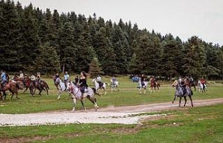 80 at binicisi At Yaylası’nda doğanın tadını...