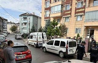 80 yaşında kedi yüzünden dehşet saçtı