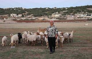 8 yıl önce devlet desteğiyle 31 koyun alan mahallenin...