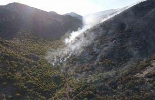 Adıyaman’da 2 gündür süren orman yangını devam...