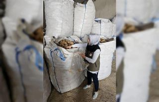 Afyonkarahisar’da Tunus’a 132 ton patates ihracatı...