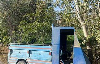 Ağaca çarpan patpat sürücüsü ağır yaralandı