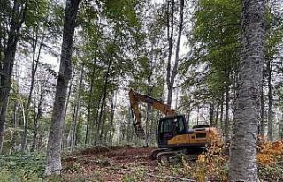 Akçakoca’da 96,9 hektar alan gençleştirildi