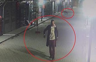 Akılalmaz olay: İş yerinin kapısını açıp kedileri...