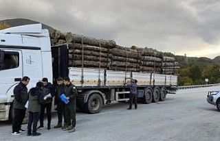 Amasya’da ormanların geleceği için 7 gün, 24...