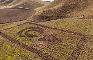 Amasyalı çiftçi tarlasına traktörüyle Türk...