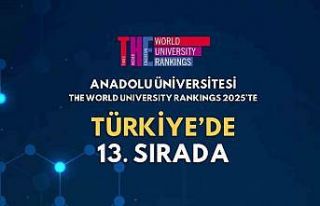Anadolu Üniversitesi, THE World University Rankings...