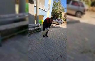 Apartman boşluğuna düşen yavru kediyi itfaiye...