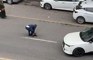 Aracıyla çarptığı kediyi önce yoldan kaldırdı,...